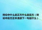 辩论中什么是正方什么是反方（辩论中反方正本清源下一句是什么）