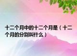 十二个月中的十二个月是（十二个月的分别叫什么）