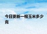 今日更新一根玉米多少克