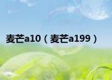 麦芒a10（麦芒a199）