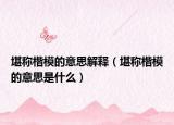 堪称楷模的意思解释（堪称楷模的意思是什么）