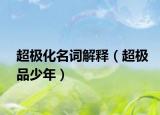 超极化名词解释（超极品少年）