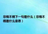 非梧不栖下一句是什么（非梧不栖是什么意思）