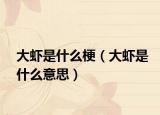 大虾是什么梗（大虾是什么意思）