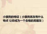 小狼狗的特征（小狼狗男友有什么特点 让你成为一个合格的男朋友）