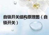 自锁开关结构原理图（自锁开关）
