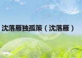 沈落雁独孤策（沈落雁）
