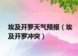 埃及开罗天气预报（埃及开罗冲突）