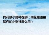 同花顺小财神在哪（同花顺股票软件的小财神肿么用）
