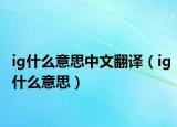 ig什么意思中文翻译（ig什么意思）