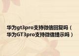 华为gt3pro支持微信回复吗（华为GT3pro支持微信提示吗）