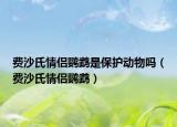 费沙氏情侣鹦鹉是保护动物吗（费沙氏情侣鹦鹉）