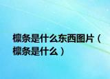 檩条是什么东西图片（檩条是什么）
