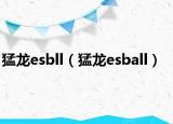 猛龙esbll（猛龙esball）