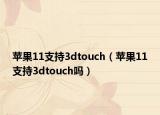 苹果11支持3dtouch（苹果11支持3dtouch吗）