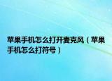 苹果手机怎么打开麦克风（苹果手机怎么打符号）