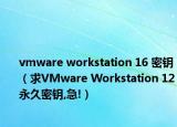 vmware workstation 16 密钥（求VMware Workstation 12永久密钥,急!）