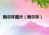 鲍尔环图片（鲍尔环）