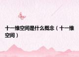 十一维空间是什么概念（十一维空间）