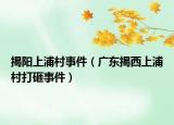 揭阳上浦村事件（广东揭西上浦村打砸事件）