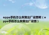 oppo手机怎么恢复出厂设置呢（oppo手机怎么恢复出厂设置）