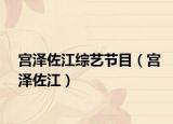 宫泽佐江综艺节目（宫泽佐江）