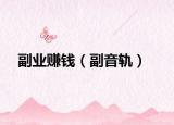 副业赚钱（副音轨）
