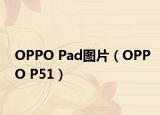 OPPO Pad图片（OPPO P51）