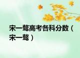 宋一骜高考各科分数（宋一骜）