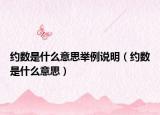 约数是什么意思举例说明（约数是什么意思）