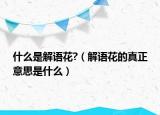 什么是解语花?（解语花的真正意思是什么）