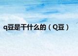 q豆是干什么的（Q豆）