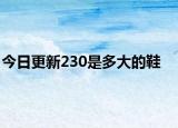 今日更新230是多大的鞋