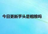 今日更新芋头是粗粮吗
