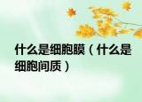 什么是细胞膜（什么是细胞间质）