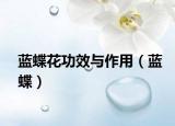蓝蝶花功效与作用（蓝蝶）