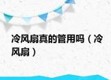 冷风扇真的管用吗（冷风扇）
