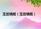 玉兰墙纸（玉兰墙纸）
