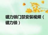 磁力锁门禁安装视频（磁力锁）