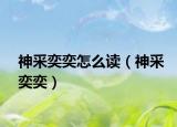 神采奕奕怎么读（神采奕奕）