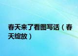 春天来了看图写话（春天绽放）