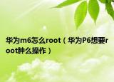 华为m6怎么root（华为P6想要root肿么操作）