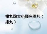 排九牌大小顺序图片（排九）