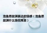 池鱼思故渊表达的情感（池鱼思故渊什么情侣寓意）
