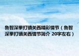 鲁智深拳打镇关西精彩情节（鲁智深拳打镇关西情节简介 20字左右）