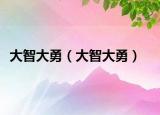 大智大勇（大智大勇）