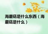 海蘑菇是什么东西（海蘑菇是什么）