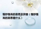惟妙惟肖的意思及拼音（惟妙惟肖的意思是什么）
