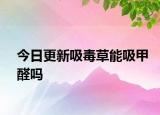 今日更新吸毒草能吸甲醛吗