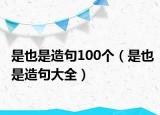 是也是造句100个（是也是造句大全）